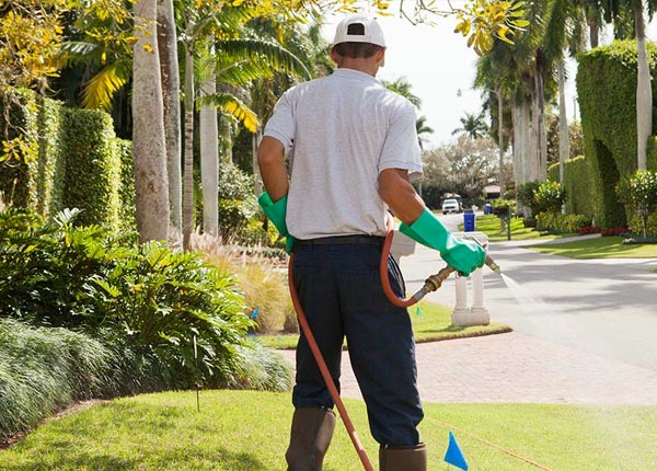 About Manistee MI Pest Control